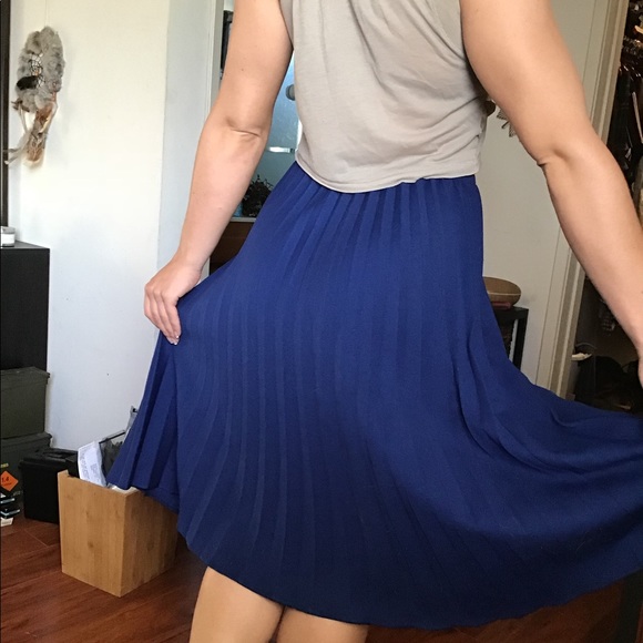 Gorgeous Vintage Pleated Midi Skirt - Picture 5 of 6